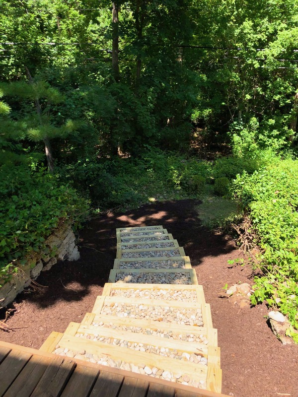 Professionally maintained landscape beds by Transitions Outdoor Services