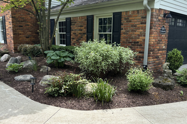 Healthy landscape beds with mulch and maintained plantings