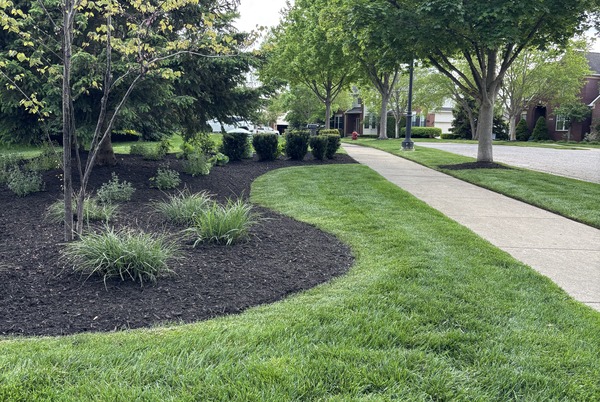 Clean and defined landscape beds improving curb appeal