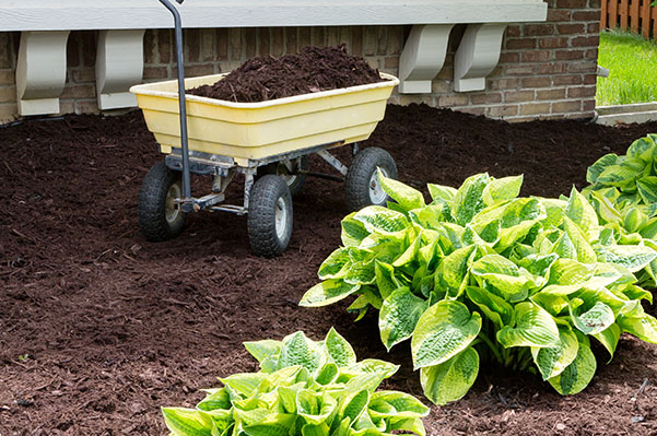 Front yard flower bed with new mulch