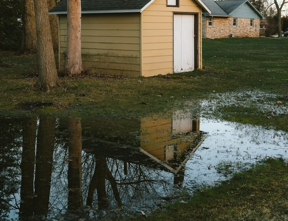 Southeast Michigan yard with standing water after heavy spring rain showing lawn drainage issues.