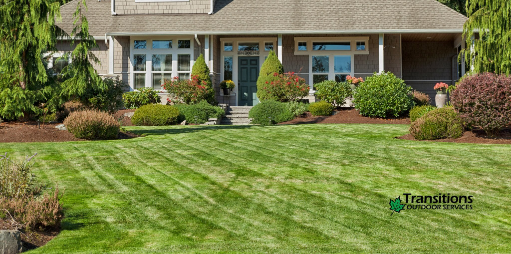 Enhancing Curb Appeal with Summer Landscaping Projects
