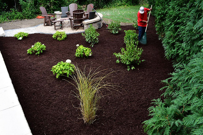 Well manicured landscape bed done by the Transitions team.