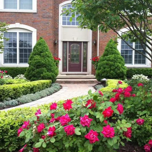 Custom landscape maintenance plan for Southeast Michigan property