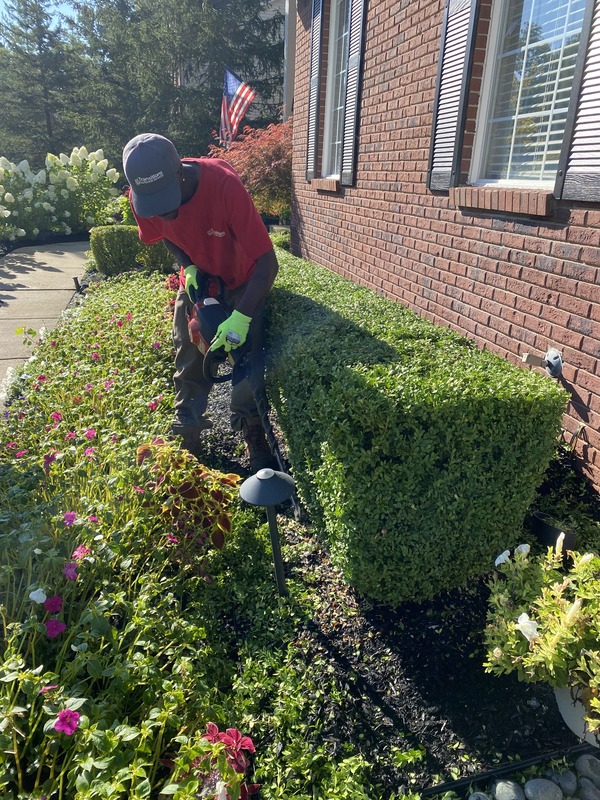 Maintained landscape by Transitions Outdoor Services