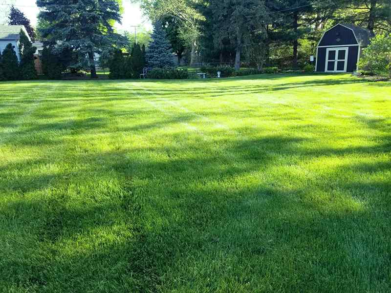Michigan backyard maintained by Transitions Outdoors
