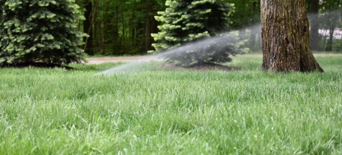 Photo of sprinkler watering the grass in a backyard.