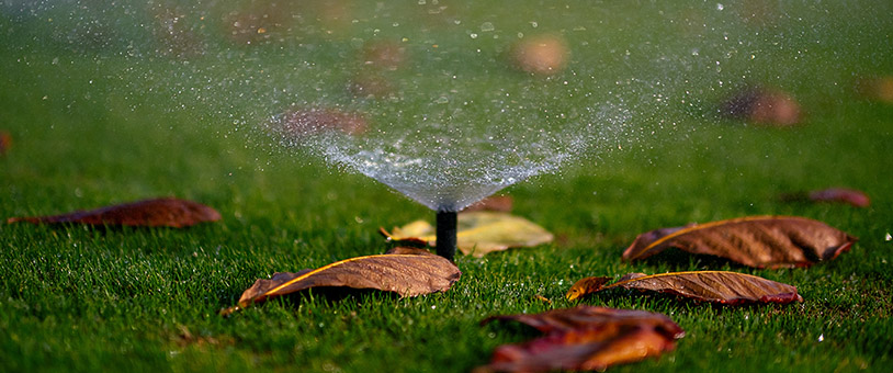Sprinkler watering residential lawn.