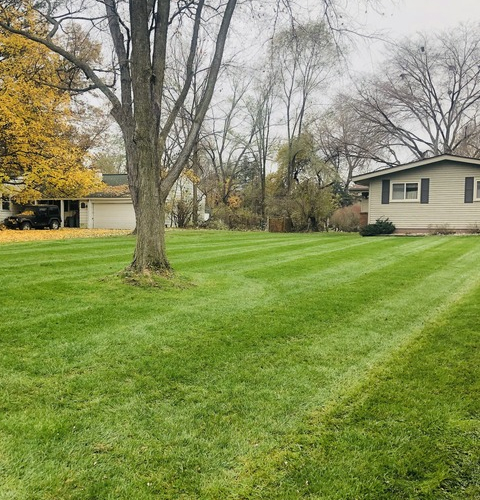 Lawn Cutting Overview