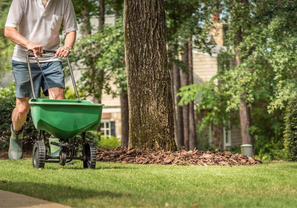 Photo of man fertilizing yard.