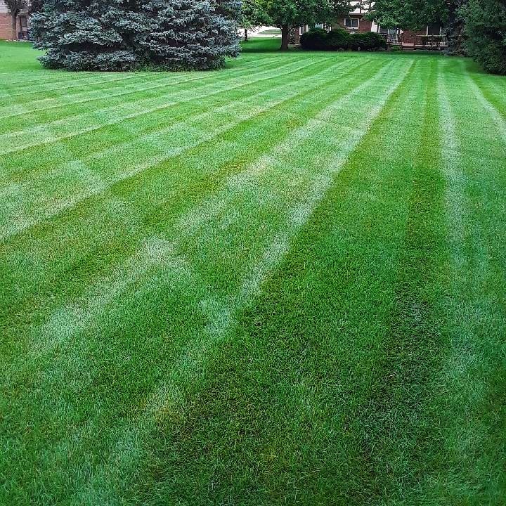 Weekly Lawn Benefits