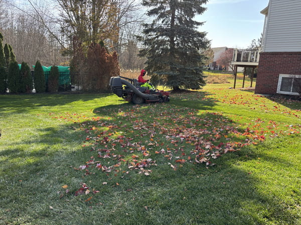 Fall leaves and seasonal cleanup before Michigan winter